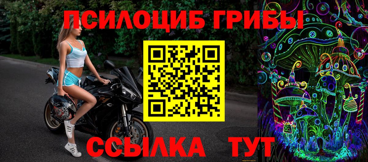 Галлюциногенные грибы мухоморы Приморско-Ахтарск